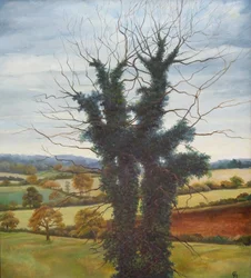 Winterhimmel, 1998